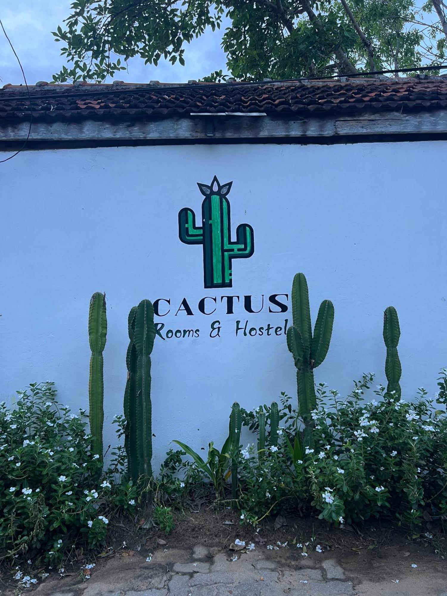 Хостел Cactus Arugambay Аругам-Бей Екстер'єр фото